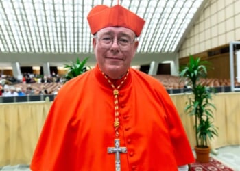 50 young French martyrs murdered by Nazis beatified in Notre Dame Cathedral