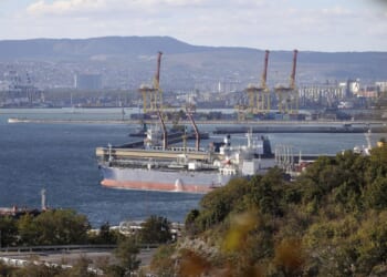 Sanctions against Russia could have worked if properly executed, top economist says