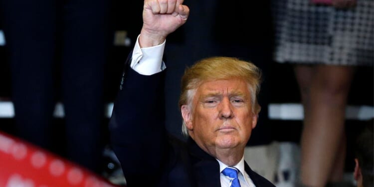 All the 'Experts' Were Wrong About Tariffs, Carl Higbie Brings Out the Receipts [WATCH]