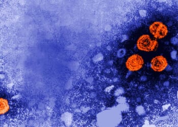 U.S. gives no-bid contract to Denmark scientists studying hepatitis B vaccine in African babies