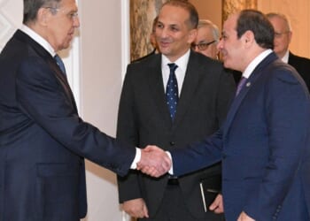 Egypt's el-Sissi urges UN Security Council reforms for Africa's larger role