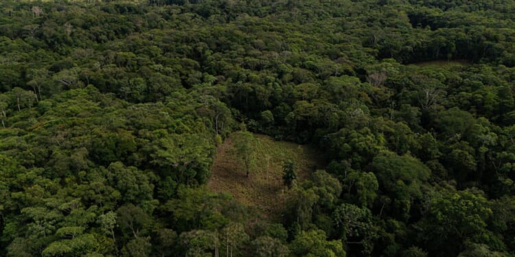 Colombia will use drones to destroy coca crops as it grapples with record cocaine production