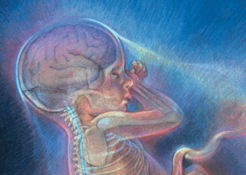 The Nation Must Face the Abortion Pill Legal Monster | The American Spectator