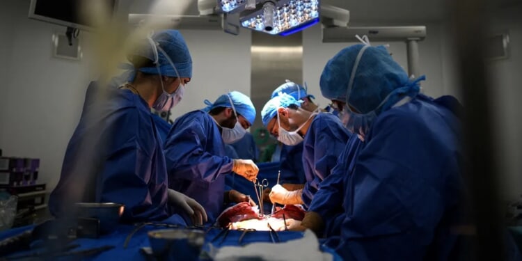 ‘Murder Masquerading As Medicine’: Senate Ignores Bill On CCP’s Christian Organ Harvesting