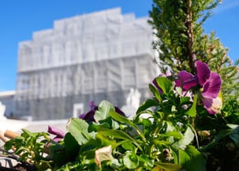 Madison Kenyon, college athlete, defends Idaho ban on transgender athletes at Supreme Court