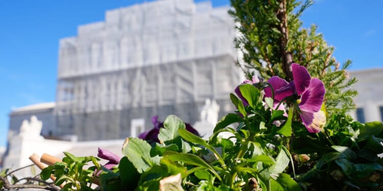 Madison Kenyon, college athlete, defends Idaho ban on transgender athletes at Supreme Court