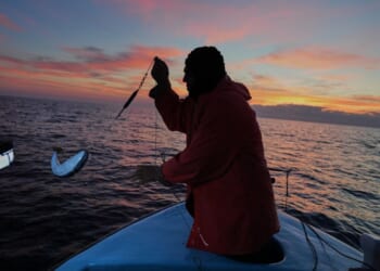 Cypriot fishermen battle invasive lionfish