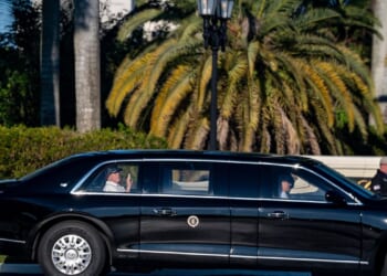 Donald Trump has 'very productive' phone call with Vladimir Putin before Volodymyr Zelenskyy meeting