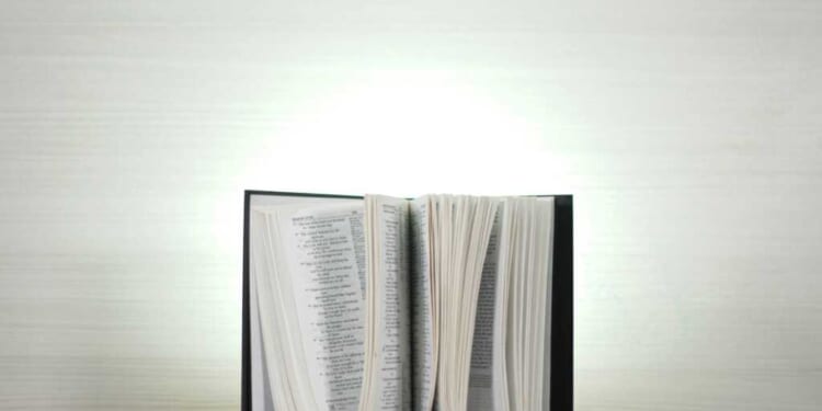 Photo by Marjhon Obsioma/Unsplash