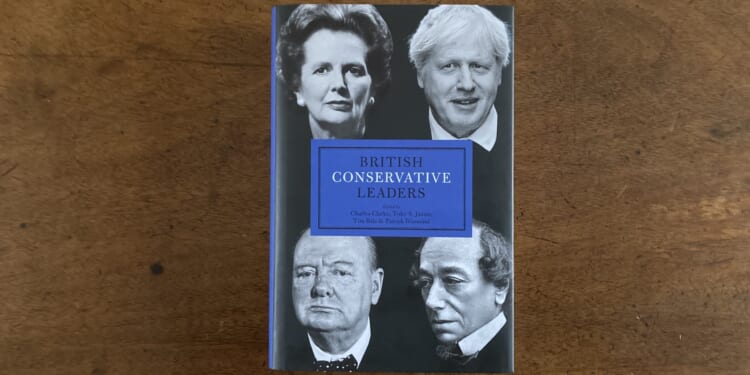 Book review: We the people can chuck out the PM whenever we want