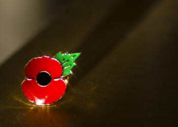 Brandon To: The poppy, the immigrant and the mistake we make about diversity