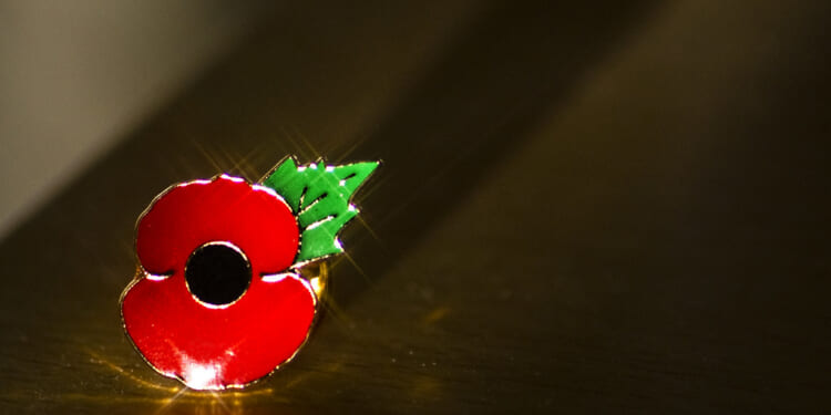 Brandon To: The poppy, the immigrant and the mistake we make about diversity