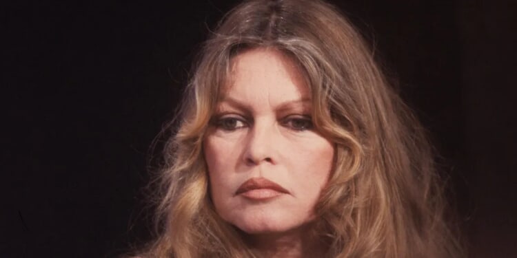 Brigitte Bardot, Iconic French Femme Fatale Turned Outspoken Activist, Dead At 91