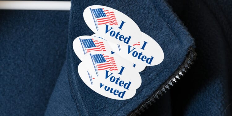 California's No-ID Voter Registration System Called Out by Andrew Gruel [WATCH]