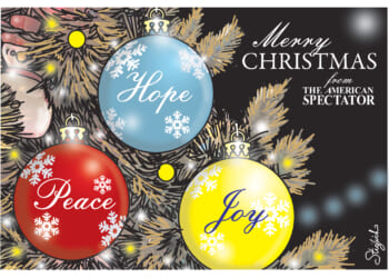 American Spectator 300x600 Subscribe Ad