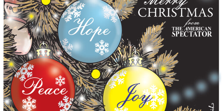 American Spectator 300x600 Subscribe Ad