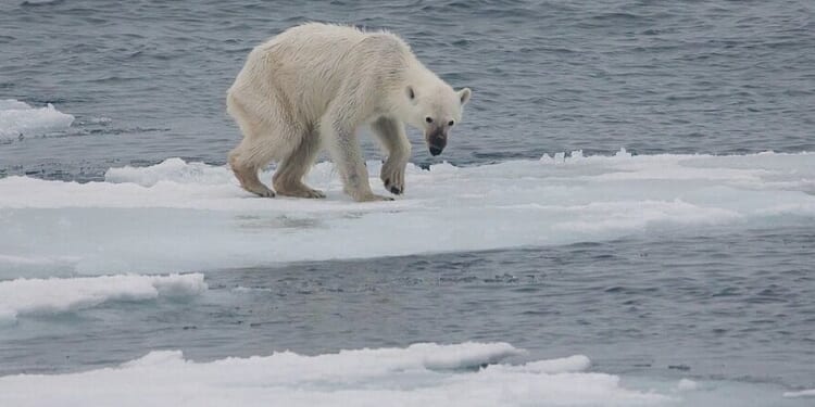 Climate doomsday prophecy peddled by academia retracted in disgrace