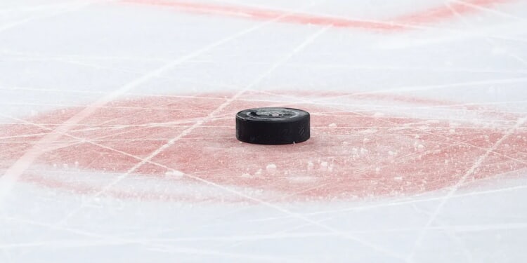 College Hockey Game Sees Wild Brawl Erupt That Includes Goalie Who Is Absolute Menace