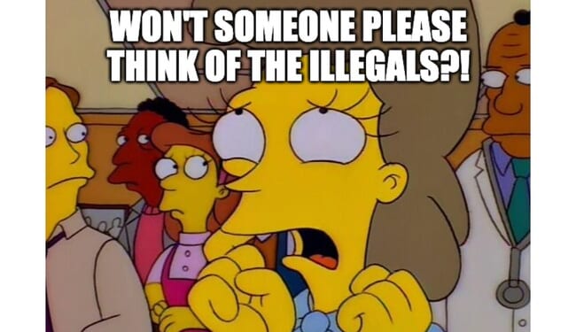 DHS Shares Info on Illegals Arrested in MN in DAMNING Thread – Twitchy