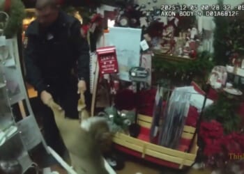 Deer “Too Deep Into the Holiday Spirits" Wrecks Store, Gets Dragged Out by Police [WATCH]