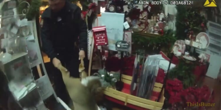 Deer “Too Deep Into the Holiday Spirits" Wrecks Store, Gets Dragged Out by Police [WATCH]
