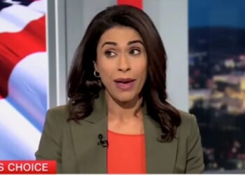 Democratic Strategist Makes Admission About Aftyn Behn One Day After Election