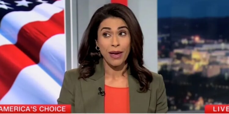 Democratic Strategist Makes Admission About Aftyn Behn One Day After Election