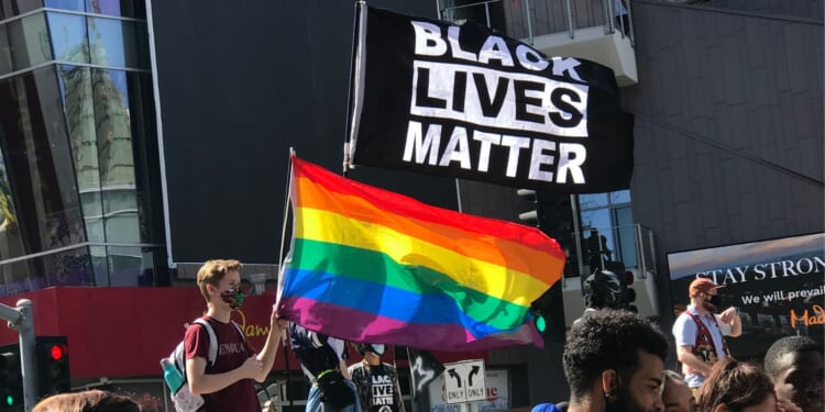 'Democrats PAID Black Lives Matter' to Hit the Street if Trump Won: Mike Benz [WATCH]