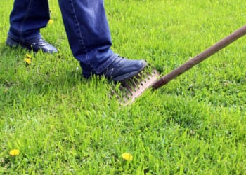 Democrats Step on a Rake in Attempt to Dunk on Trump, Show Biden, Obama Fails Instead