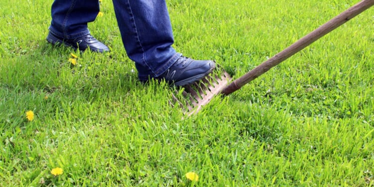 Democrats Step on a Rake in Attempt to Dunk on Trump, Show Biden, Obama Fails Instead