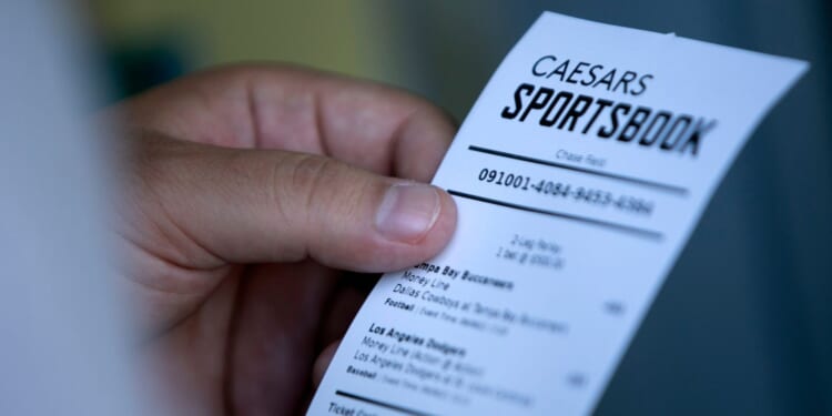 Donald Trump Floats Idea of Axing Federal Tax on Sports Gambling Wins [WATCH]