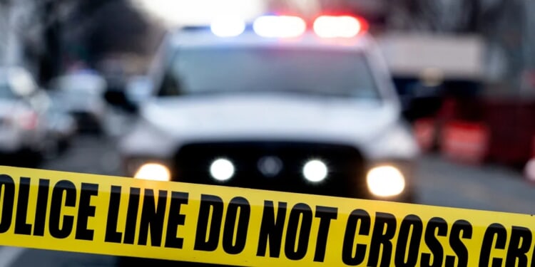 EXCLUSIVE: Illegal Indian Trucker Accused Of Killing Two In Horrific Crash