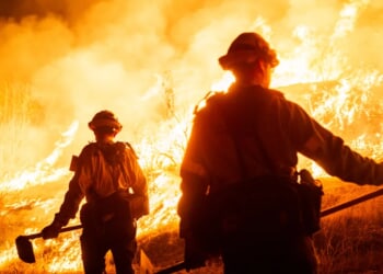 FRANK RICCI And GABRIEL MANN: Los Angeles Burned With Only The Truth Extinguished