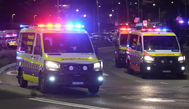 Fierce Against Maskless Beachgoers During COVID, Frozen Against Jihadists Today – Twitchy