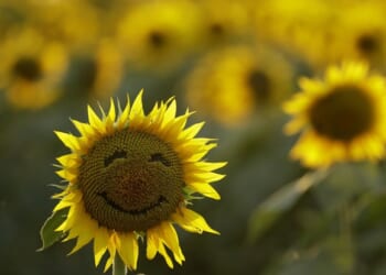 Force 2M Homeowners to Rip Out Gardens Instead of Managing Forests – Twitchy