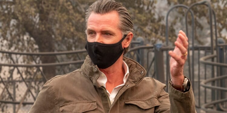 Gavin Newsom's California is Absolutely the Fraud Capital of America: Rep. Kevin Kiley [WATCH]