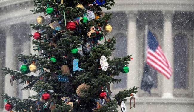 Gotcha Question About Trump's Christmas Address Backfires – Twitchy