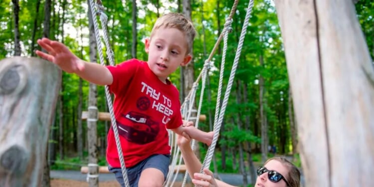 INGERSOLL: ‘Female Students’: UVA Professor’s Starting Statement About Boys Contains Subtle Reason To Hope