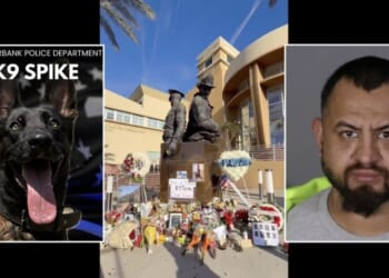 Illegal immigrant kills police K-9 dog in California stand-off