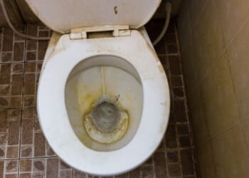 Industrial Grift at Scale Exposed by Citizen Journalist [WATCH]