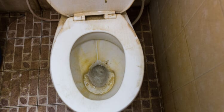 Industrial Grift at Scale Exposed by Citizen Journalist [WATCH]