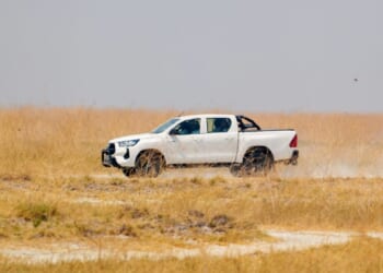 Is the HiLux Coming to America? | The American Spectator