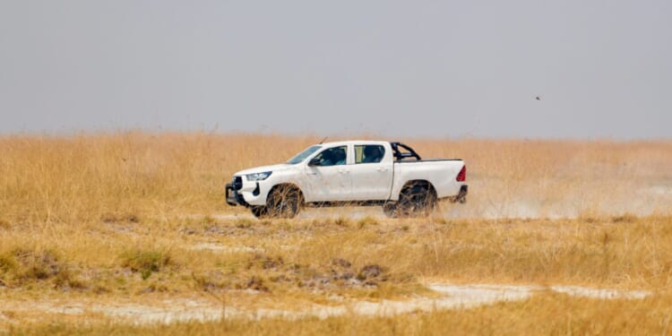 Is the HiLux Coming to America? | The American Spectator