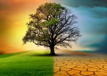 Jet Set Climate Doomer 'Experts' Set Another Meeting Just Weeks After COP30 [WATCH]