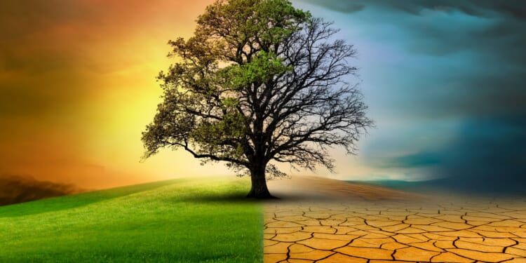 Jet Set Climate Doomer 'Experts' Set Another Meeting Just Weeks After COP30 [WATCH]