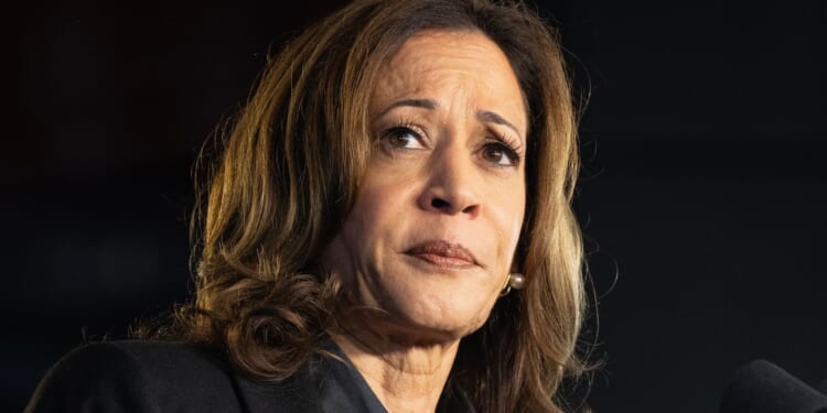 Poll Tests Kamala Write-In Scenario as California Governor Race Shifts [WATCH]