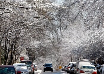 La Niña Winter Fueling First Snow Of Season, Possible Ice Risk For Mid-Atlantic, Carolinas
