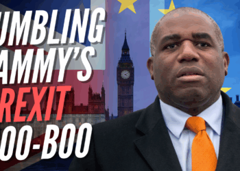 Labour Insiders Doubt Loose-Lipped Lammy Broke Brexit Ranks on Purpose – Guido Fawkes