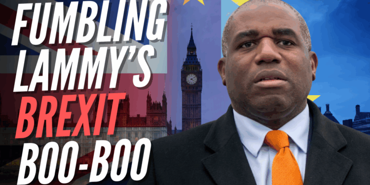 Labour Insiders Doubt Loose-Lipped Lammy Broke Brexit Ranks on Purpose – Guido Fawkes