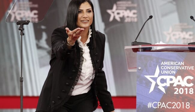 Liz Warren ALREADY Exploiting Brown Shooting to Push Gun Control and Dana Loesch Ain't HAVIN' Any of It – Twitchy